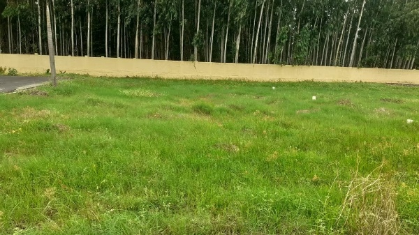 Nova KNT Premium Residential Plots in Oragadam, Chennai